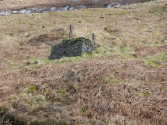 
Coldra Road stone pillar, Blaenrhondda, February 2012